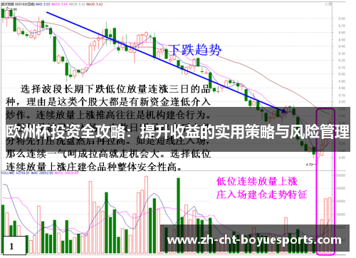 欧洲杯投资全攻略:提升收益的实用策略与风险管理 欧洲杯投资全攻略:提升收益的实用策略与风险管理